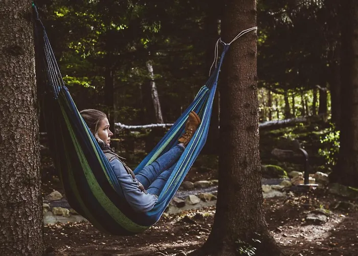 Treehouse - Magiczne Na Drzewie W Karpaczu - Wyjatkowy Blisko Natury カルパッチ