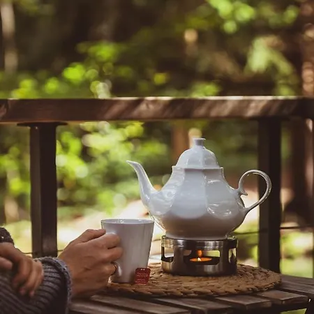Semesterbostad Treehouse - Magiczne Na Drzewie W Karpaczu - Wyjatkowy Blisko Natury