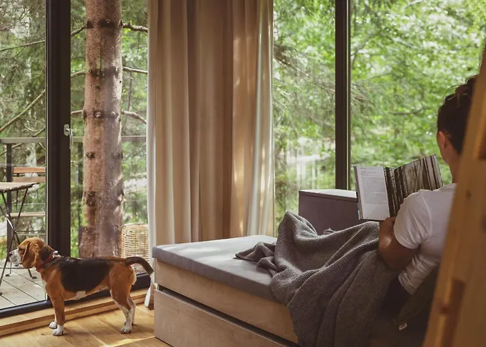 Treehouse - Magiczne Na Drzewie W Karpaczu - Wyjatkowy Blisko Natury * Karpacz