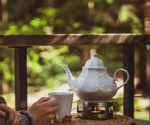 Prázdninový dům Treehouse - Magiczne Na Drzewie W Karpaczu - Wyjatkowy Blisko Natury